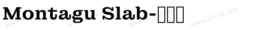 Montagu Slab字体转换